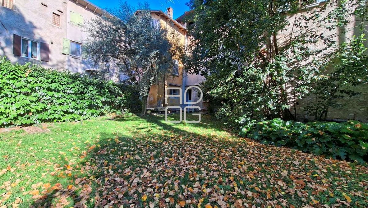 imm_71057-20260116172532-1280-_Watermark_png_mc