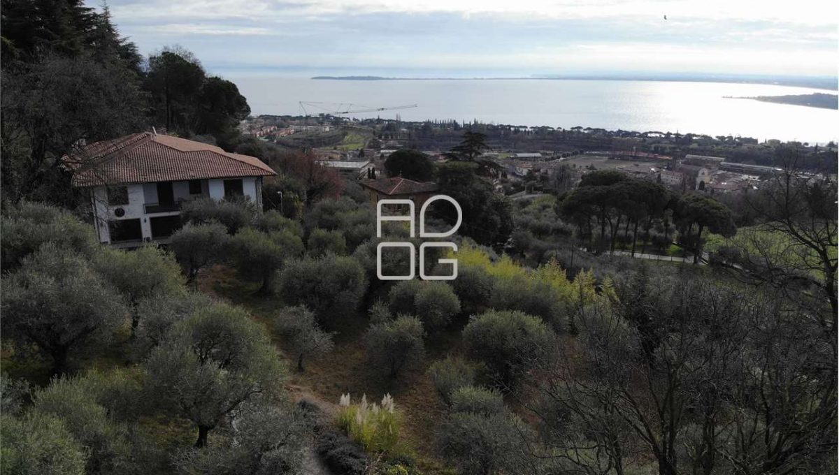 imm_71080-20260118150902-1280-_Watermark_png_mc