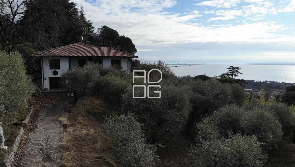 imm_71081-20260118150902-1280-_Watermark_png_mc