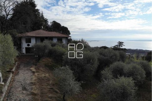 imm_71081-20260118150902-1280-_Watermark_png_mc