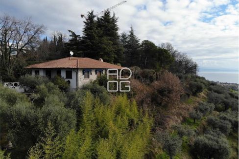 imm_71083-20260118150902-1280-_Watermark_png_mc