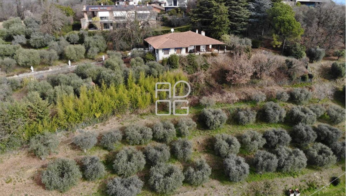 imm_71084-20260118150902-1280-_Watermark_png_mc