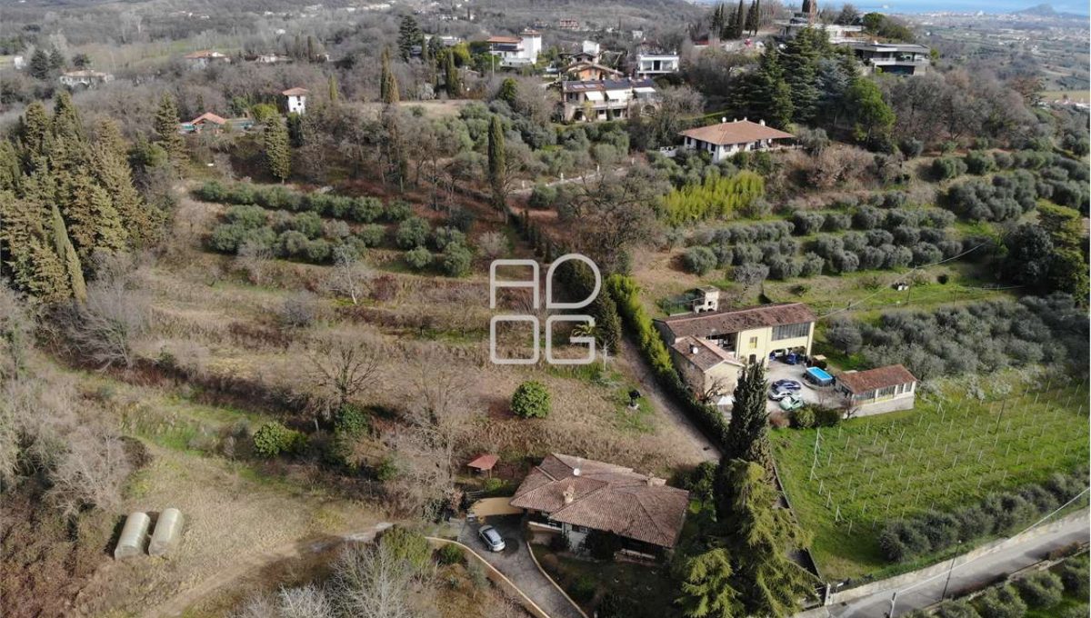 imm_71085-20260118150902-1280-_Watermark_png_mc