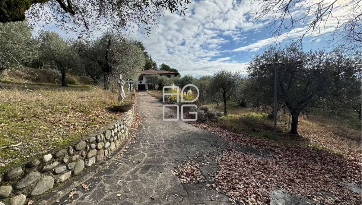 imm_71089-20260118150902-1280-_Watermark_png_mc