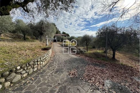 imm_71089-20260118150902-1280-_Watermark_png_mc