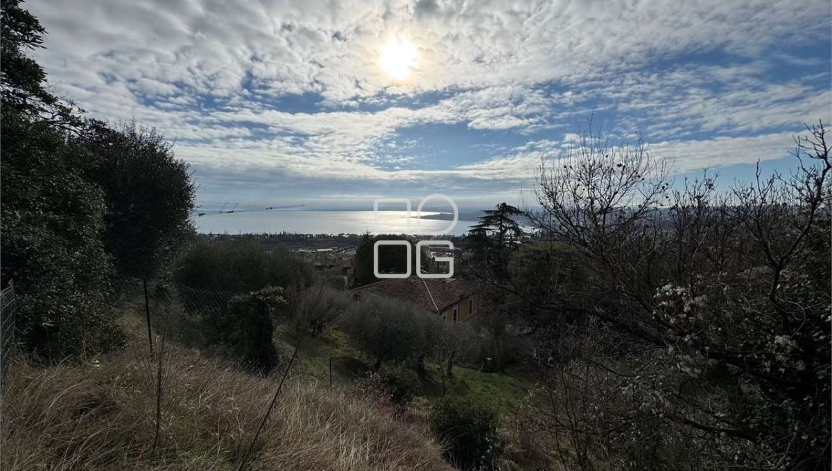 imm_71095-20260118150902-1280-_Watermark_png_mc