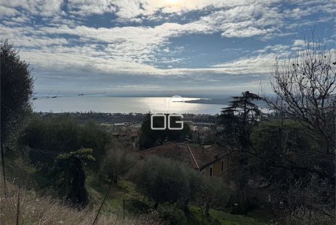 imm_71096-20260118150902-1280-_Watermark_png_mc