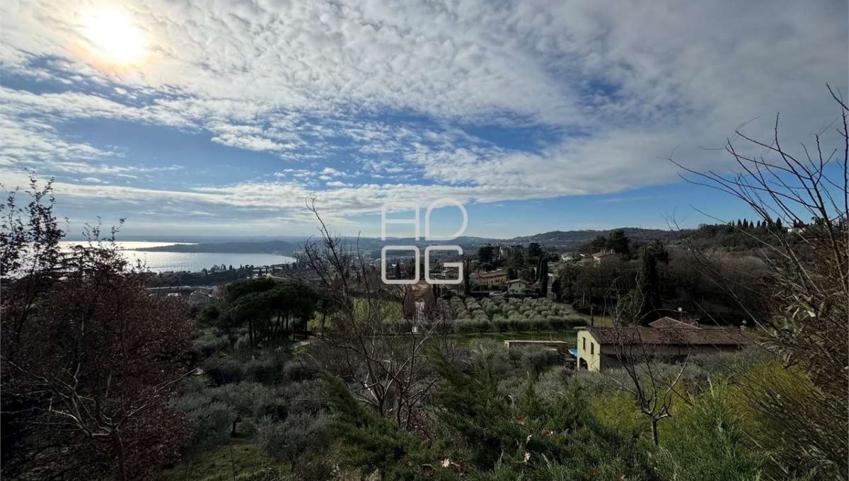 imm_71098-20260118150902-1280-_Watermark_png_mc