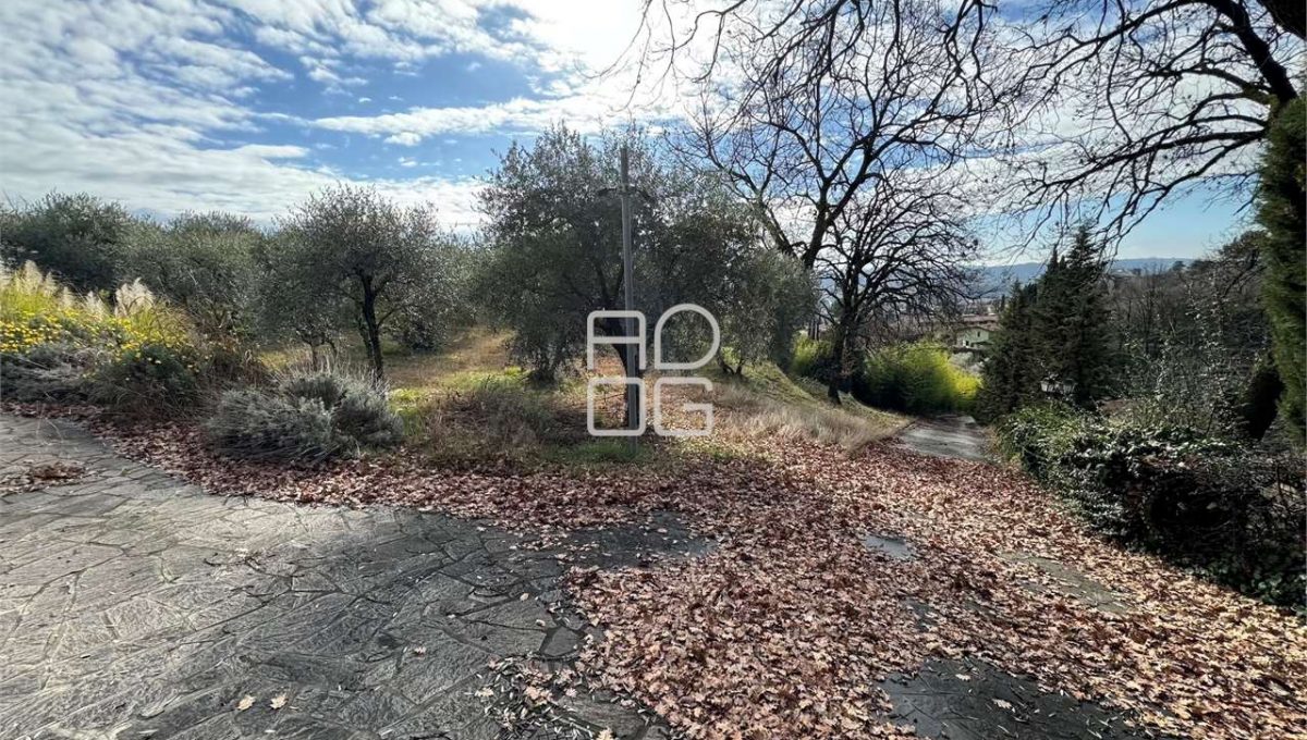 imm_71099-20260118150902-1280-_Watermark_png_mc