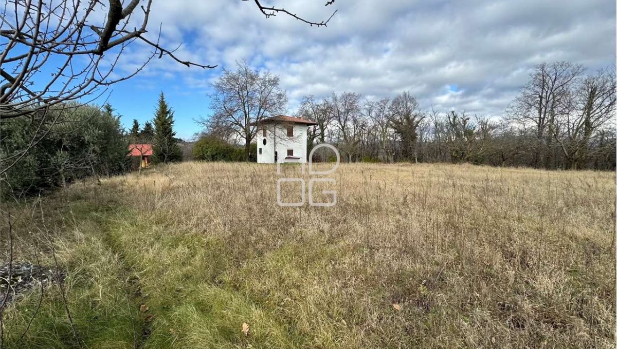 imm_71100-20260118150902-1280-_Watermark_png_mc