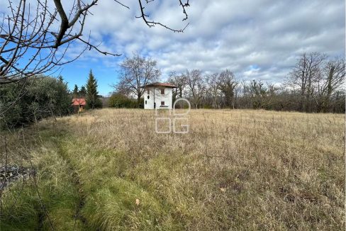 imm_71100-20260118150902-1280-_Watermark_png_mc