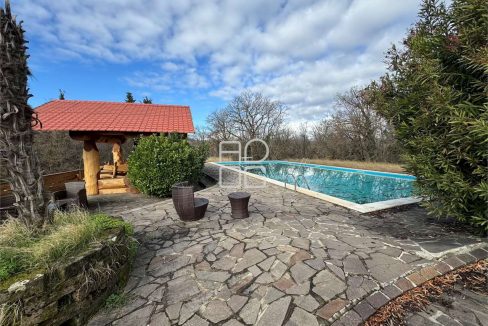 imm_71101-20260118150902-1280-_Watermark_png_mc