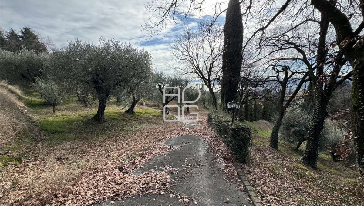 imm_71102-20260118150902-1280-_Watermark_png_mc