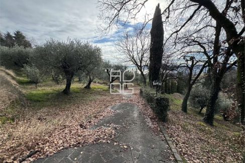 imm_71102-20260118150902-1280-_Watermark_png_mc