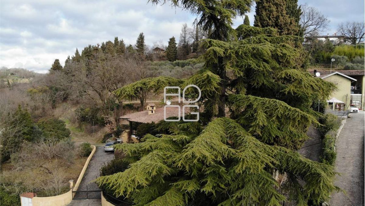 imm_71104-20260118150902-1280-_Watermark_png_mc