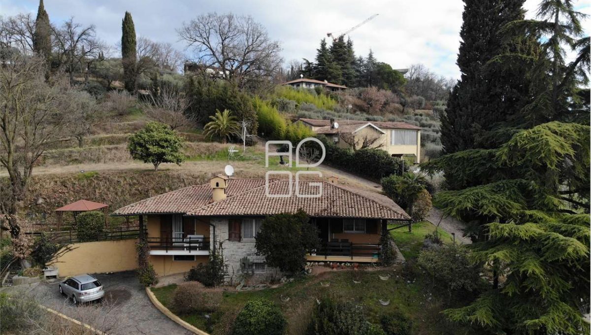 imm_71105-20260118150902-1280-_Watermark_png_mc