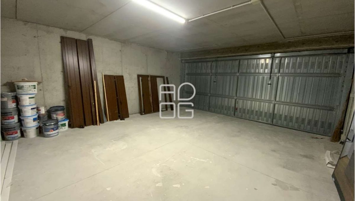 imm_71291-20260126113737-1280-_Watermark_png_mc