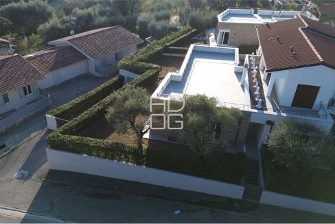 imm_71296-20260126113615-1280-_Watermark_png_mc