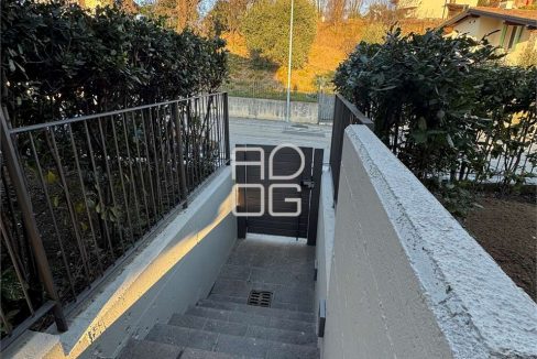 imm_71304-20260126115016-1280_Watermark_png_mc