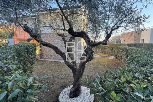 imm_71312-20260126115522-1280_Watermark_png_mc