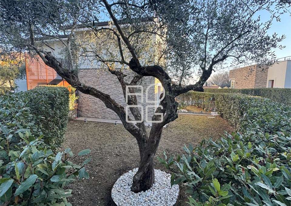 imm_71312-20260126115522-1280_Watermark_png_mc