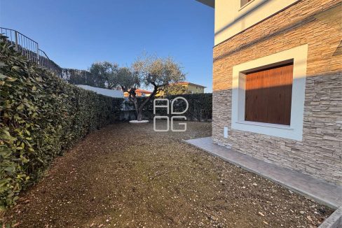 imm_71316-20260126115545-1280-_Watermark_png_mc