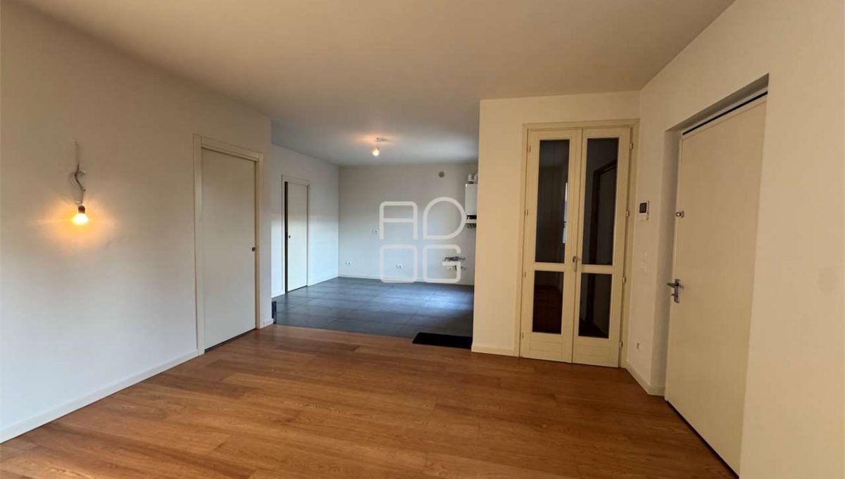 imm_71321-20260126115701-1280-_Watermark_png_mc