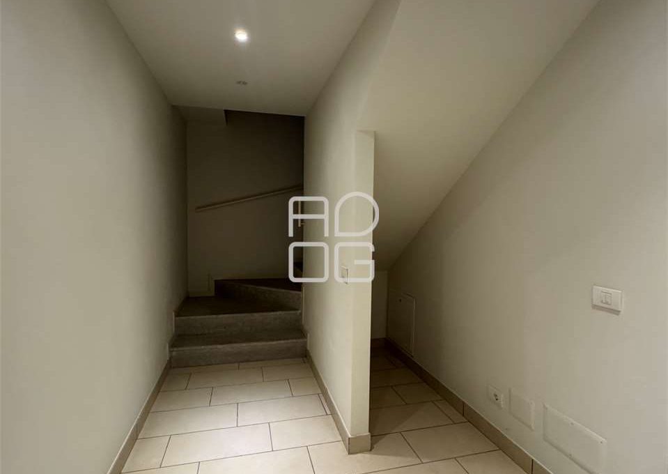 imm_71333-20260126115842-1280_Watermark_png_mc