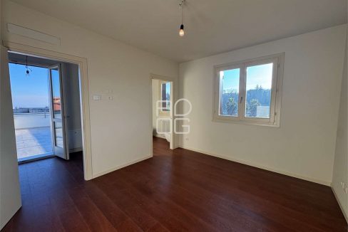 imm_71338-20260126120413-1280-_Watermark_png_mc