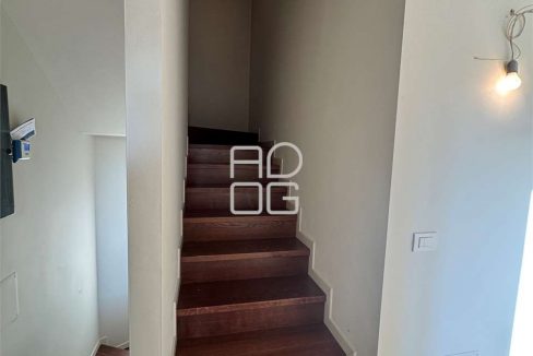 imm_71343-20260126120407-1280_Watermark_png_mc