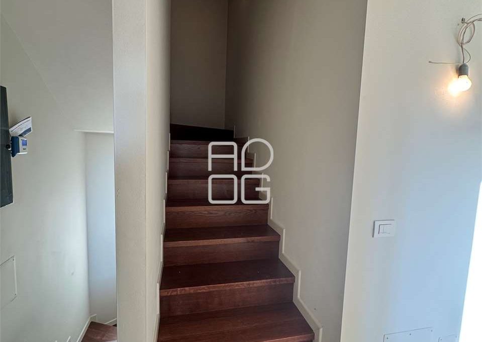 imm_71343-20260126120407-1280_Watermark_png_mc