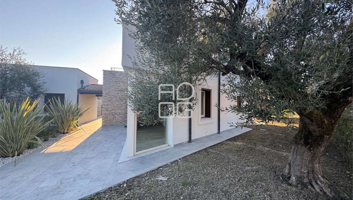 imm_71344-20260126120344-1280-_Watermark_png_mc