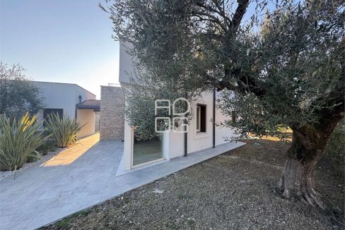 imm_71344-20260126120344-1280-_Watermark_png_mc