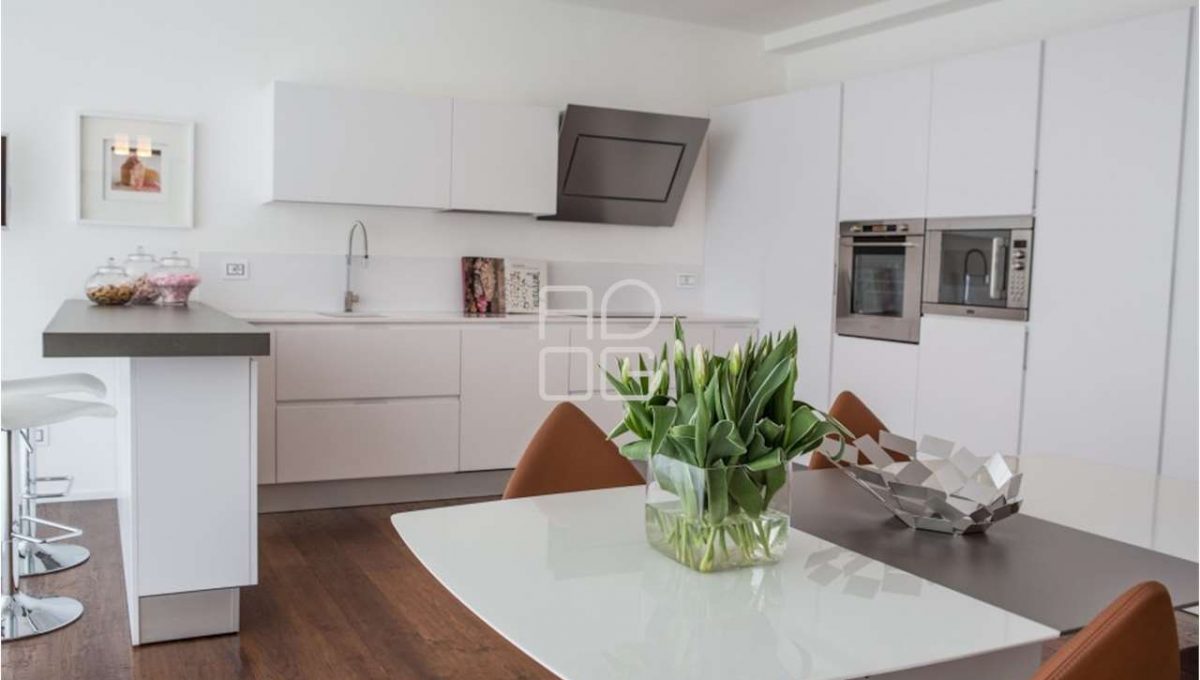 imm_55418-20240205223613-1280-_Watermark_png_mc