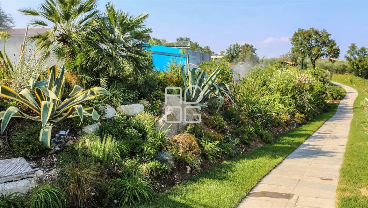 imm_55433-20240205223614-1280-_Watermark_png_mc