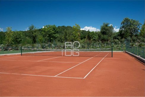 imm_55435-20240205223614-1280-_Watermark_png_mc