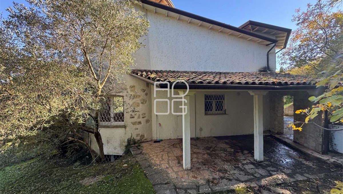 imm_69637-20251117075338-1280-_Watermark_png_mc