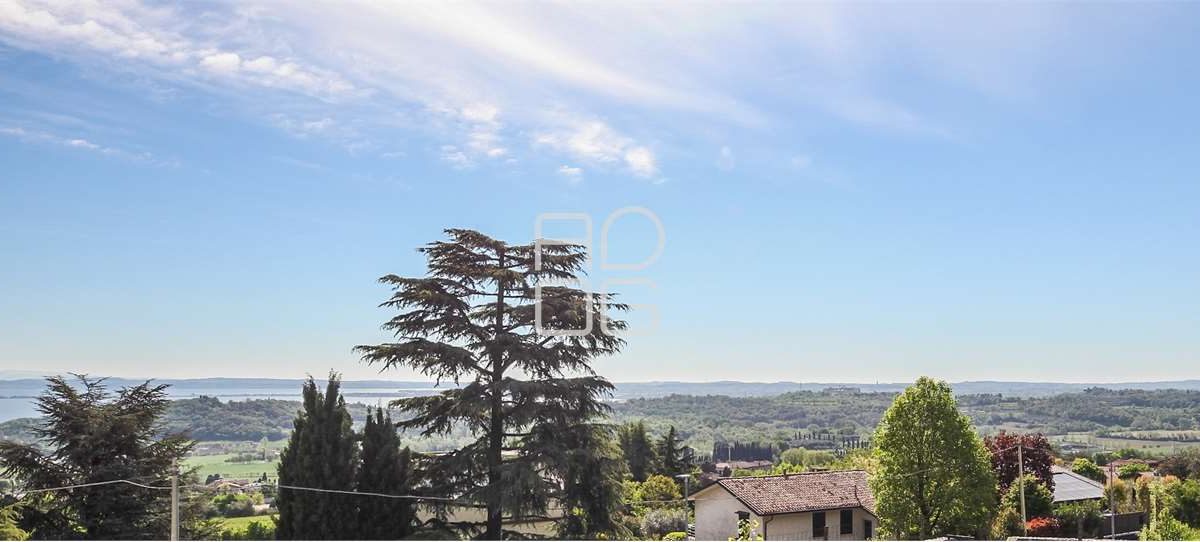 imm_69869-20251123213954-1280-_Watermark_png_mc