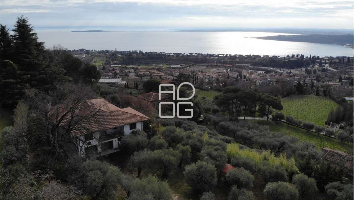 imm_71079-20260209221935-1280-_Watermark_png_mc