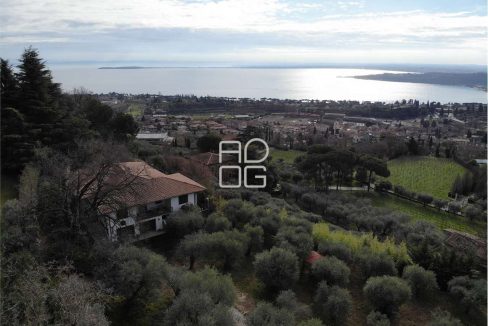 imm_71079-20260209221935-1280-_Watermark_png_mc