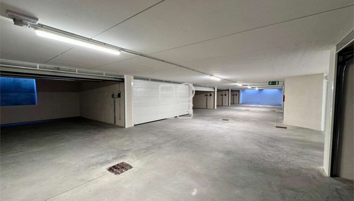 imm_71148-20260121181437-1280-_Watermark_png_mc