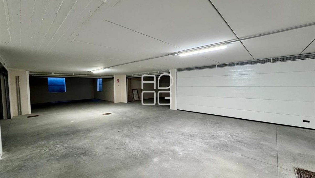 imm_71150-20260121181437-1280-_Watermark_png_mc