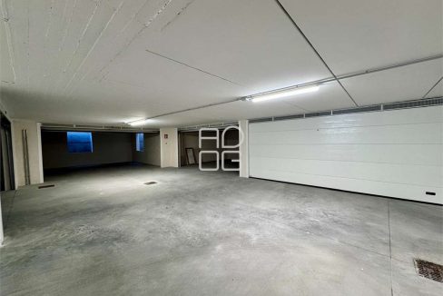 imm_71150-20260121181437-1280-_Watermark_png_mc