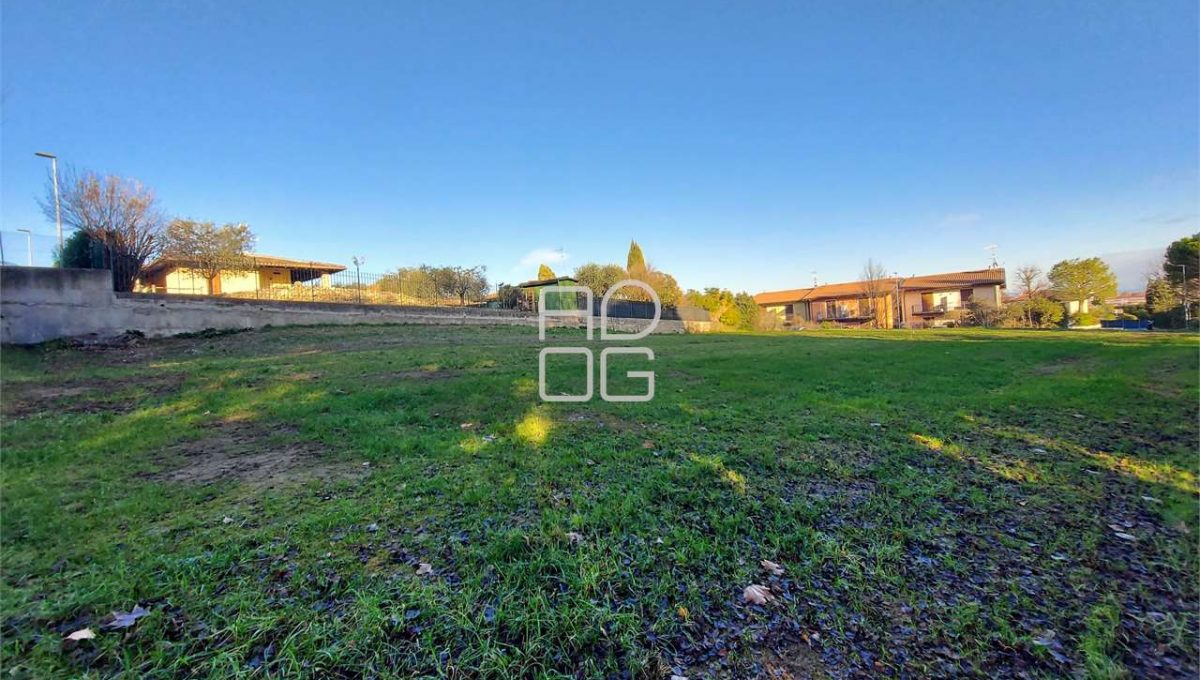 imm_71362-20260131154548-1280-_Watermark_png_mc