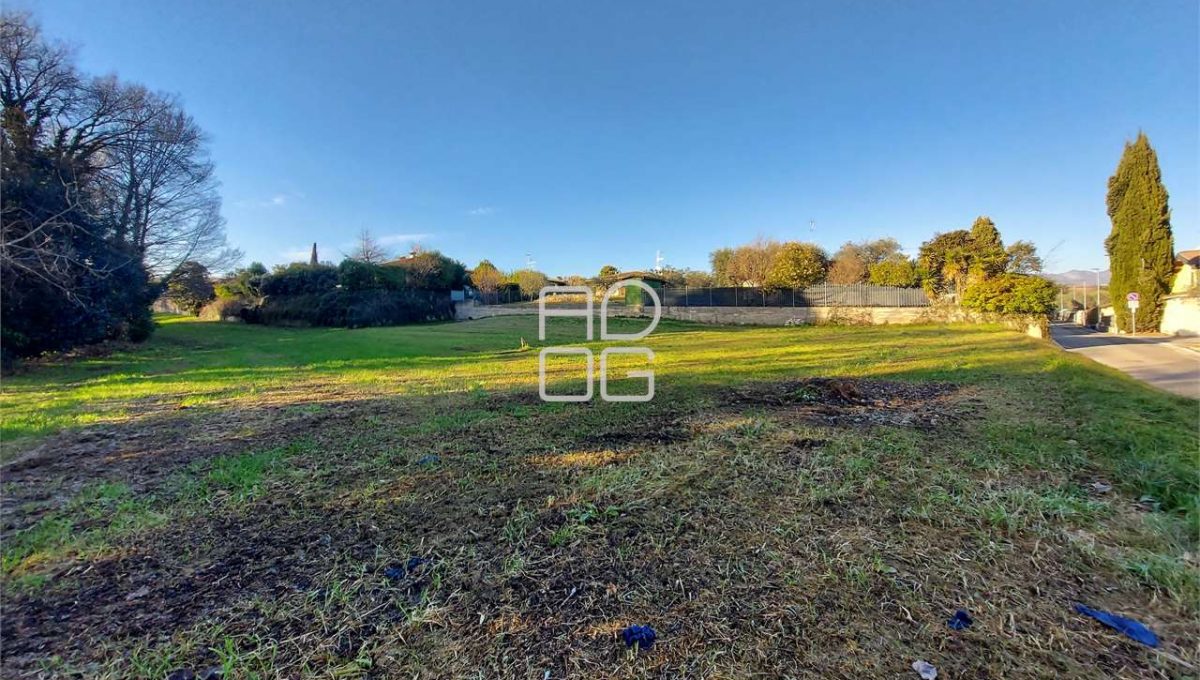 imm_71366-20260131154439-1280-_Watermark_png_mc