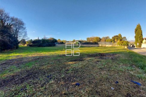 imm_71366-20260131154439-1280-_Watermark_png_mc