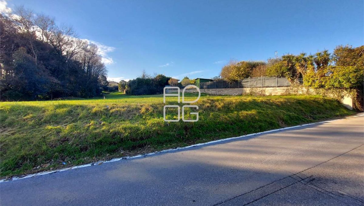 imm_71367-20260131154429-1280-_Watermark_png_mc