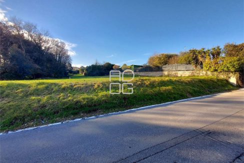 imm_71367-20260131154429-1280-_Watermark_png_mc