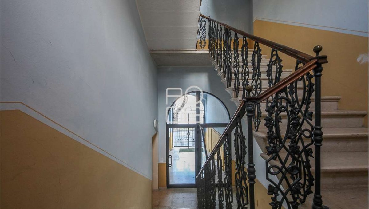 imm_71417-20260203173800-1280-_Watermark_png_mc