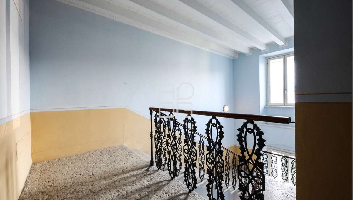 imm_71418-20260203173800-1280-_Watermark_png_mc